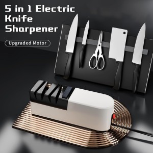 Electric knife sharpener, 5 in 1 knife sharpening system with straight blade, professional diamond knife sharpener FOR rough sharpening, repair and sharpening of knives (LG2)