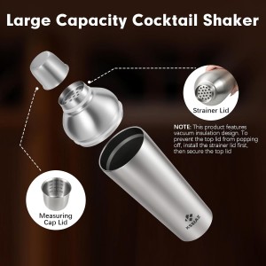 Cocktail Shaker Set, Vacuum Insulated Stainless Steel Martini Shaker Set, Portable Travel Bartender Kit with Bartender Accessory Tools, 25.4oz, Silver