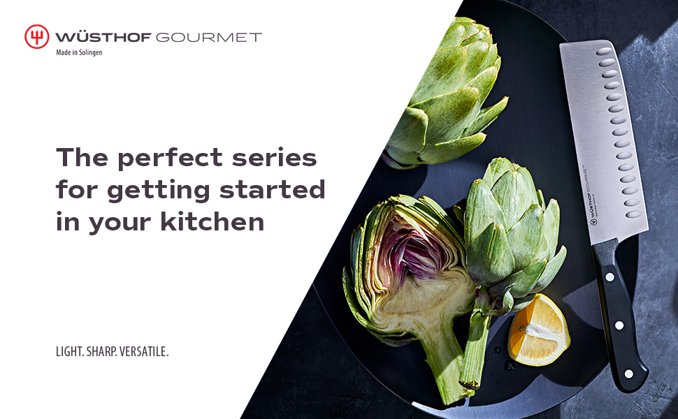 WÜSTHOF Gourmet 2-Piece Carving Knife Set,Black