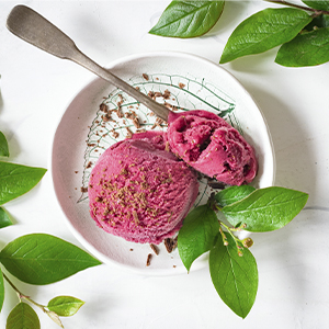 Zeroll Original 4 oz Ice Cream Scoop, Size 10, in Silver/Brown (1010)