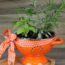 Calypso Basics by Reston Lloyd Powder Coated Enameled Colander, 5 Quart, Lemon