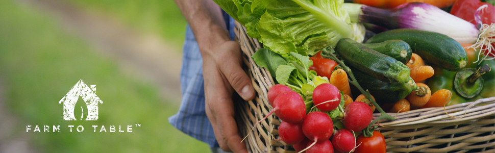 Farm to Table Jar and Bottle Vise/Opener, White, 0.5 x 3.25 x 9 inches