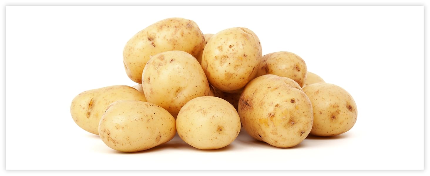 Lurch Germany Universal Ultra Sharp Stainless Steel Vegetable Y Peeler for Potatoes, All Fruits & Veggies | Non-Slip Comfortable Handle | 5.1 x 2.3 Inches / 13 cm x 6 cm - Black