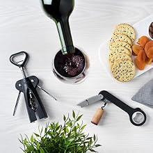 Host Tilt Variable Wine Aerator Pourer, Preserve Wine, Bottle Sealer, Wine Stopper, Drip Free Pourer, Aerating Wine Cork Spout, BPA-Free Plastic, Stand Included, Clear