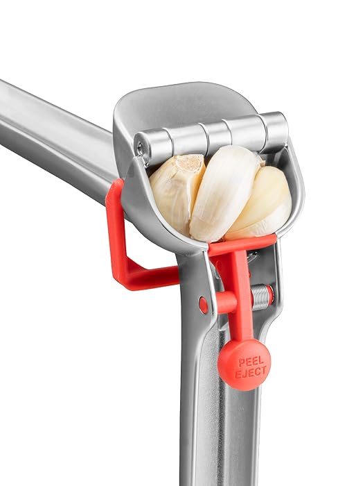 Dreamfarm Garject Lite 2-In-1 Garlic Peeler, Garlic Press & Mincer with Garlic Peel Ejector, Nylon - Black