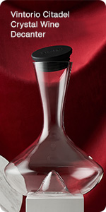 Vintorio Wine Aerator Pourer - Premium Aerating Pourer and Decanter Spout (Black)