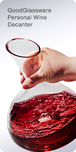 Vintorio Wine Aerator Pourer - Premium Aerating Pourer and Decanter Spout (Black)