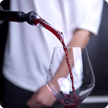 Vintorio Wine Aerator Pourer - Premium Aerating Pourer and Decanter Spout (Black)