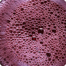 Vintorio Wine Aerator Pourer - Premium Aerating Pourer and Decanter Spout (Black)