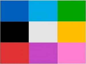 Swatom Dog Paw Keychain Bottle Opener Beer Opener Tool, Key Tag Chain Ring, 6 Piece