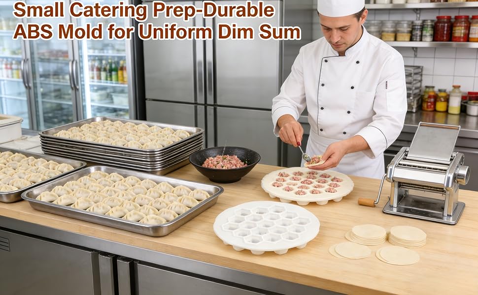 Dumpling & Ravioli Maker Mold - Create 19 Perfect Bite-Size Dumplings at Once, Dishwasher Safe ABS