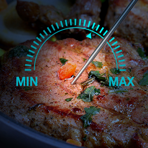 DeltaTrak 11040 Professional Digital Meat Themometer Waterproof for Kitchen, Food Cooking, Grill, BBQ, Smoker, Candy, Coffee, Blue