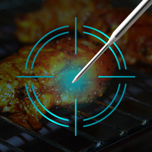 DeltaTrak 11040 Professional Digital Meat Themometer Waterproof for Kitchen, Food Cooking, Grill, BBQ, Smoker, Candy, Coffee, Blue