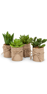 Abbott Collection Antique Red Square Open Wall Opener - Cast Iron (2.5