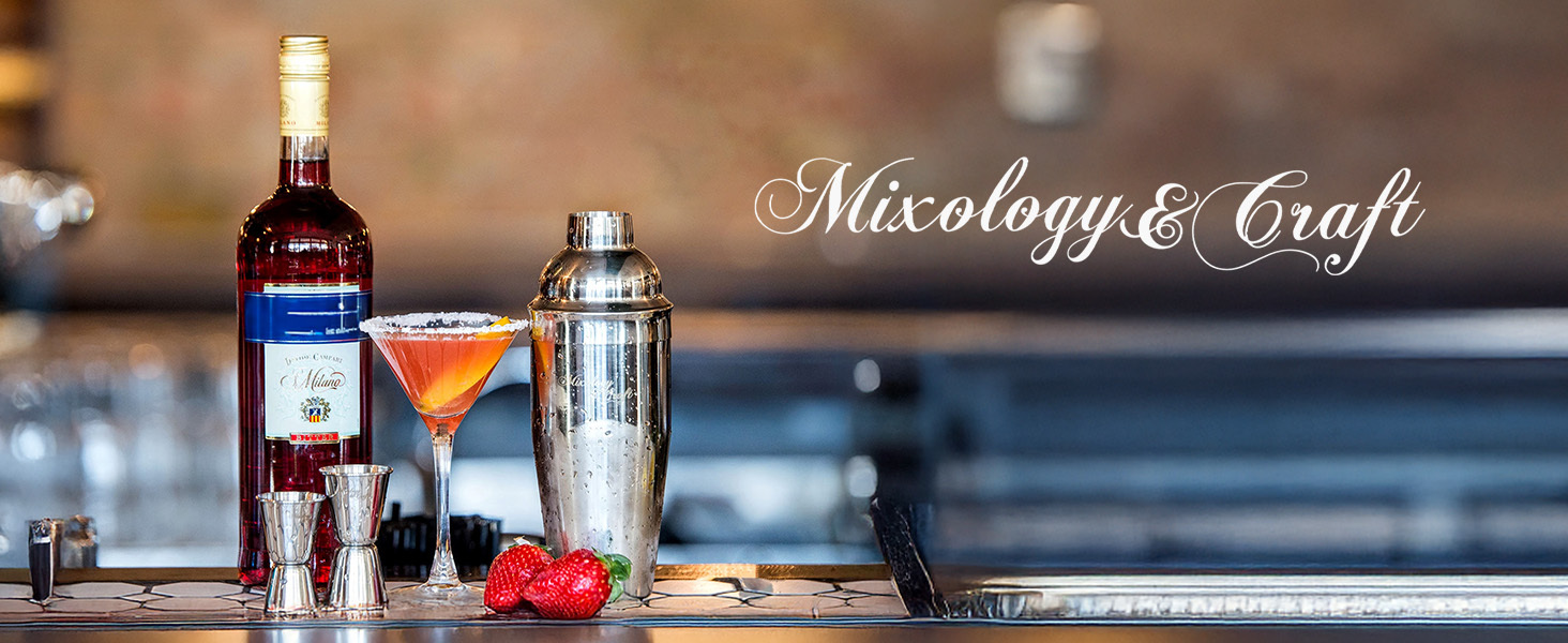 Mixology & Craft 16-Piece Stainless Steel Cocktail Shaker Set, 24 oz Cobbler Martini Shaker, Mixology Bartender Kit with Strainer, Travel Cocktail Kit in Gift-Ready Tube, Bartending Bar Kit Tools