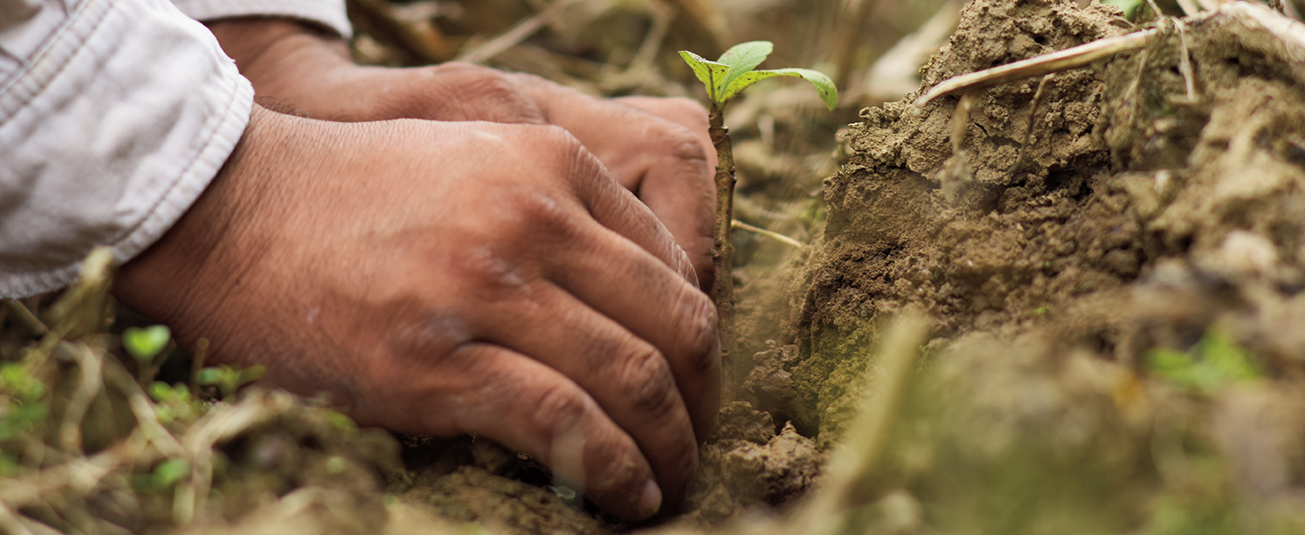 Teakhaus Cutting Board - Large (L) Wood Cutting Board with Juice Groove - Holiday Gift Ideas for Men and Women - Gift-Ready, Reversible, Edge Grain Wood, Knife Friendly - FSC Certified