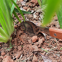 Ice Cream Metal Spade, LU2000 9 Inches Sweets Blade Scoop Wedding Buffet Cooking Tool for BBQ & Kitchen Cook Cake Scraper Stainless Spoon Shovel Large Ice Cream Scooper