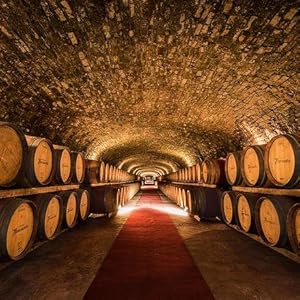 Ketotek Digital Infrared Thermometer Temperature Gun -58°F to 1112 °F(-50°C to 600°C) Handheld Non Contact IR Laser Thermometer KT600Y for Cooking Meat Refrigerator Pool Pizza Oven BBQ Food