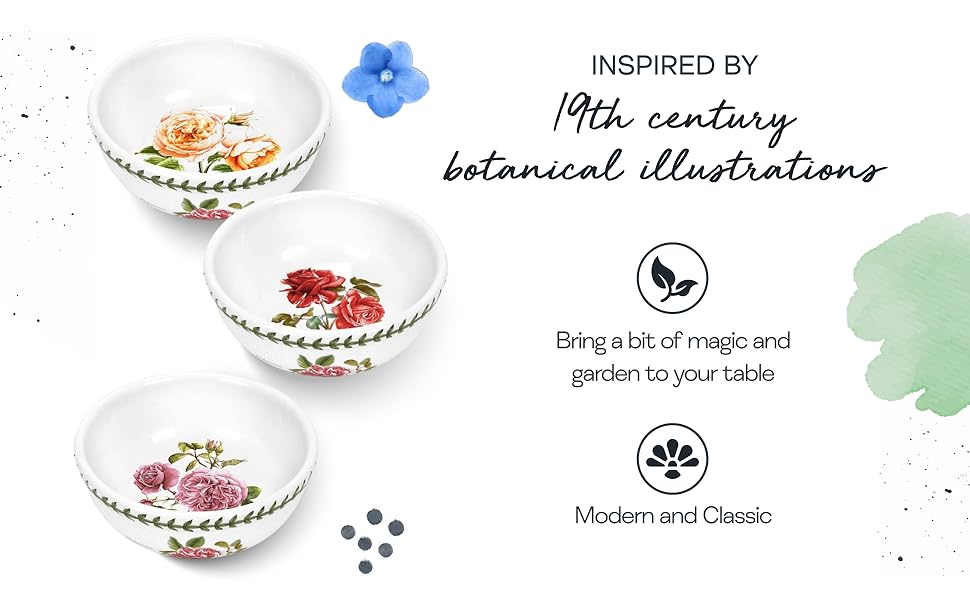 Portmeirion Botanic Garden 12