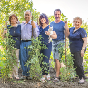 GreenOlive Rolling Pin Guide Ring Spacer Bands (8 Piece Set) Multicolored Flexible Silicone Slip On Baking Accessories Fit 1 3/4” to 2” Wide Dough Rollers