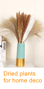 Food Travel Scale Portable Pocket Scale Gram Capacity 500g Degital Kitchen Small Miniature Scale Lab Measuring Scale High Precision