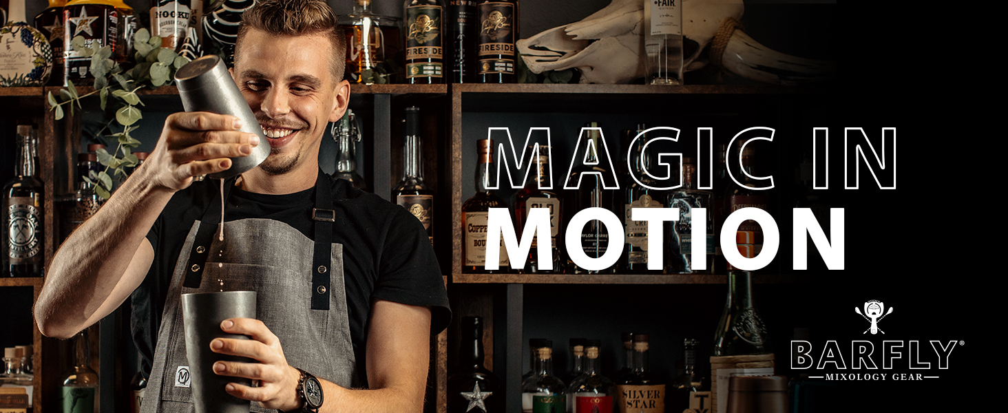 Barfly Cocktail Shaker Set, 24oz (700 ml), Stainless