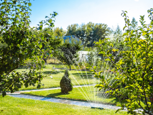 Searon Mechanical Kitchen Timer Magnetic with Loud Alarm, 60-Minute Manual Wind Up Analog Countdown Timer with Stainless Steel Scale, No Batteries for Chef Cooking, Baking, Egg, Oven, Seniors