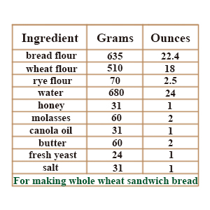 Silicone Perforated Baking Forms Sandwich Mold French Baguette Bread Pan Food Mat 5 Loaf Non-Stick Baking Liners