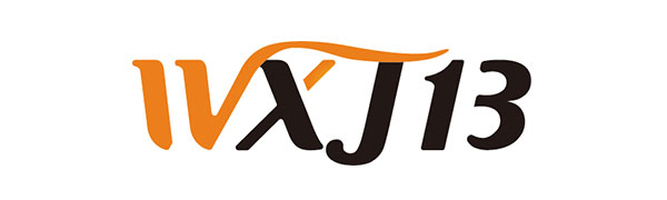 WXJ13 Pack of 200 Pourers Dust Covers with Box, Liquor Bottle Pour Spout Cover Rubber Caps, Black