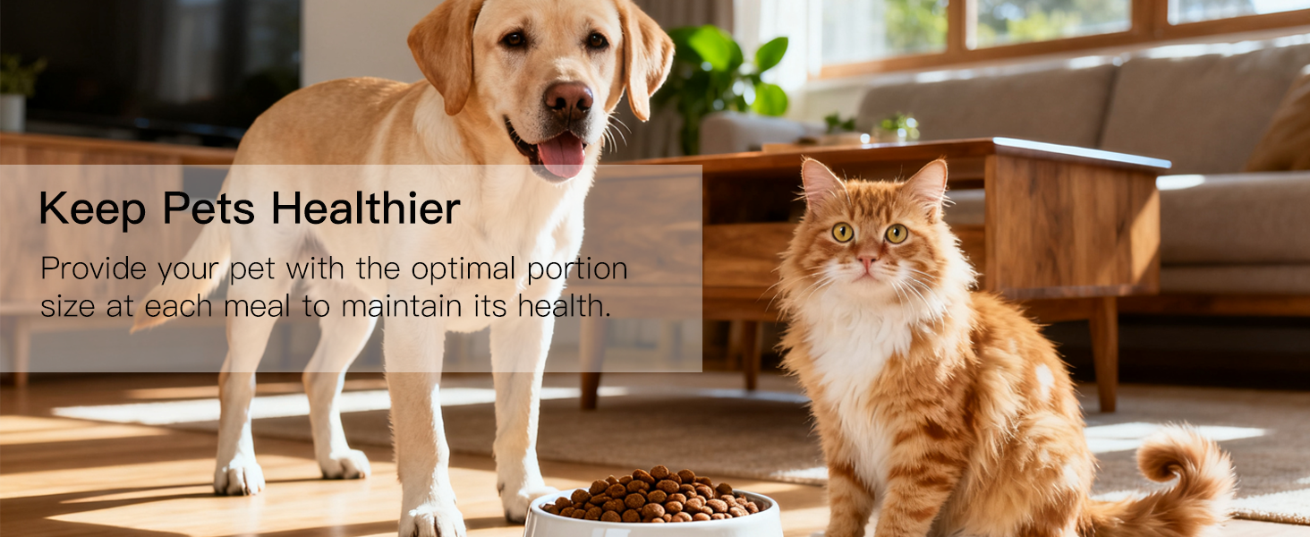 AZEUS Food Scale with USB Rechargeable, Digital Kitchen Scale with 6 Units, High Precision to 0.04 oz /11lbs Capacity, Weight Range from 3g-5000g (White)