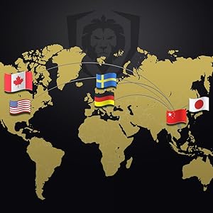 Dalstrong Honing Rod - 10 inch - G10 Handle - Stainless Steel Core - Scratch-Free Ceramic Coating - Kitchen Knife Sharpener Chef Knife Polish - Professional Honing Steel - Sharpening Rod