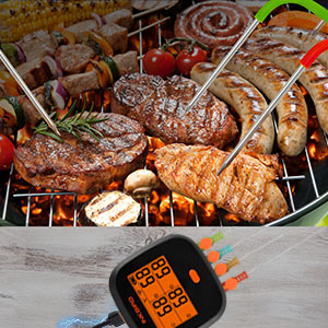 INKBIRD WiFi Meat Thermometer for Grilling, Unlimited Rang Rechargeable BBQ Thermometer APP Calibration, Temp Graph Mobile Notification, 4 Colorful Probes Food Thermometer for Pellet Smoker Oven