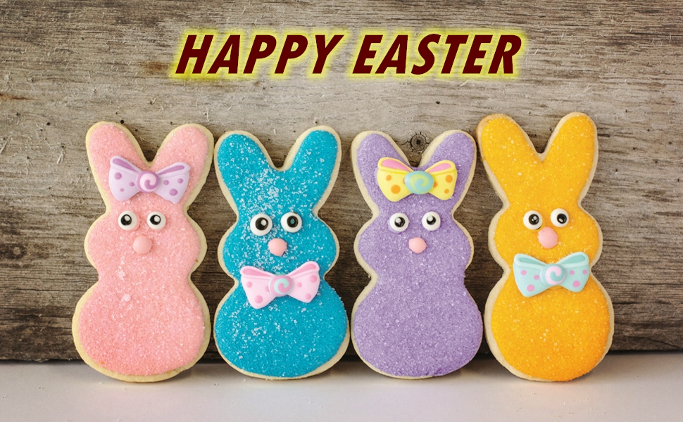 Easter Bunny Cookie Cutter Set -3 Pieces - Stainless Steel Assorted Sizes