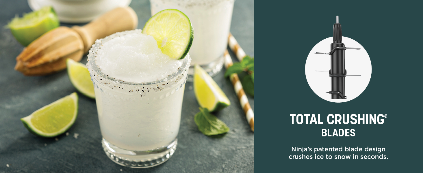 Ninja BN801 Professional Plus Kitchen System, 1400 WP, 5 Functions for Smoothies, Chopping, Dough & More with Auto IQ, 72-oz.* Blender Pitcher, 64-oz. Processor Bowl, (2) 24-oz. To-Go Cups, Grey