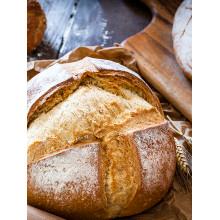 GoodCook Touch Digital Instant Read Thermometer with LCD Display