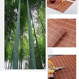 Dining Table Placemat, Heat-Resistant Place Mat Stain Resistant Anti-Skid Washable Bamboo Table Mat Placemat Kitchen Table mat
