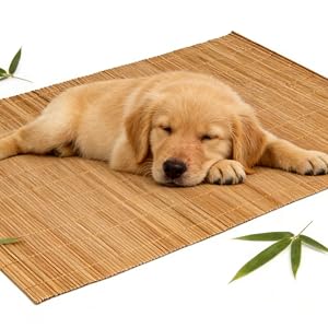 Dining Table Placemat, Heat-Resistant Place Mat Stain Resistant Anti-Skid Washable Bamboo Table Mat Placemat Kitchen Table mat