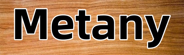 Dining Table Placemat, Heat-Resistant Place Mat Stain Resistant Anti-Skid Washable Bamboo Table Mat Placemat Kitchen Table mat