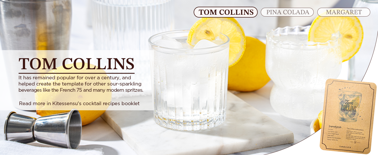 KITESSENSU Cocktail Shaker Set Bartender Kit with Stand | Bar Set Drink Mixer Set with All Essential Accessory Tools: Martini Shaker, Jigger, Strainer, Mixer Spoon, Muddler, Liquor Pourers |Silver