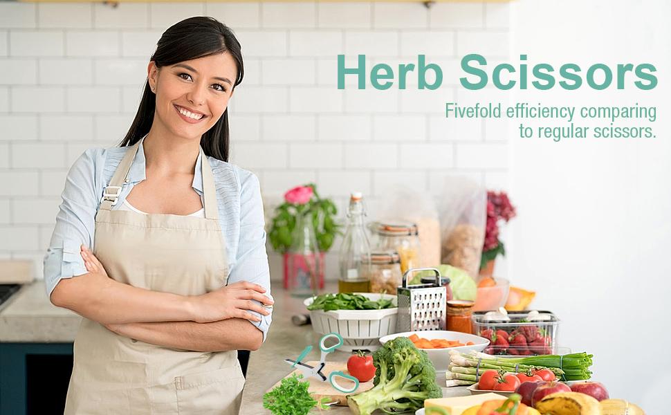 Fun Unique Kitchen Gadgets: Herb Scissors Set - Updated 2026 Cool Kitchen Tools for Cutting Fresh Garden Herbs - Sharp 5-Blade Shears with Cover, Anti-Rust Stainless Steel, Dishwasher Safe (Blue)