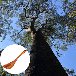 Wooden Spatula Nonstick Turner Acacia Wood, Right Long Handle Flat Frying Spatulas Handmade for Mother Wife Grandma Her Kitchen Gift, Ideal Cookware Utensils for Cooking Eggs, Fish, Pancakes