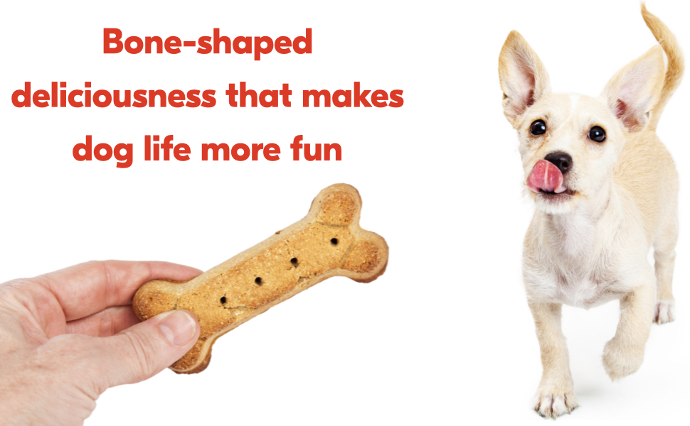 3-Piece Dog Bone Cookie Cutters Set - Dog Treats Cutters, Bone Shapes, 2.4