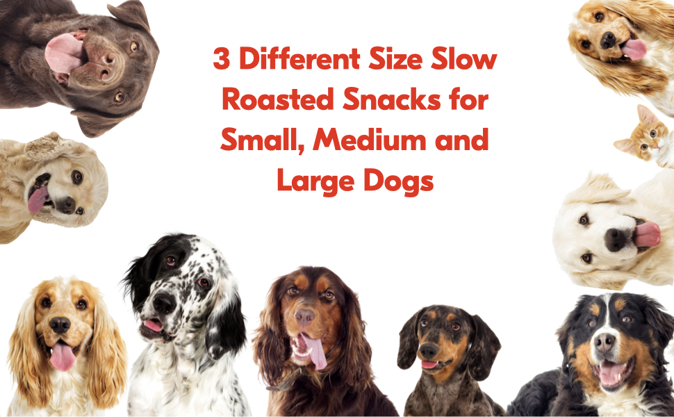 3-Piece Dog Bone Cookie Cutters Set - Dog Treats Cutters, Bone Shapes, 2.4