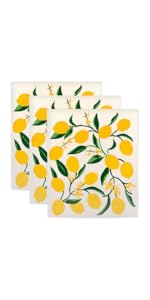 DII Scrubber Dishcloths Collection Windowpane Dishrag Set, 12x12, White/Stone Stripe, 6 Piece