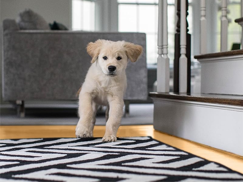 GORILLA GRIP Stainless Steel Heat Resistant Kitchen Tongs for Cooking, 9 + 12 Inch, Set of 2 BBQ Tong, Non Scratch Silicone Tip for Pan, Strong Grip, Grab Food, Toss Salad, Air Fryer, Pull Lock, Black