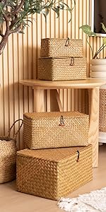 6 Pack Rectangular Woven Placemats, Rattan Wicker Table Mats, 17