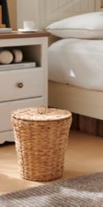 6 Pack Rectangular Woven Placemats, Rattan Wicker Table Mats, 17