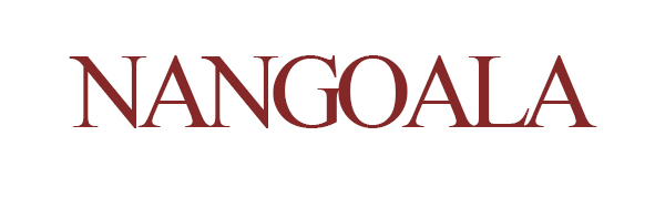 Digital Meat & Milk Thermometer - Instant Read Probe for Cooking, BBQ, Grill, Deep Fry, Roast & Baking