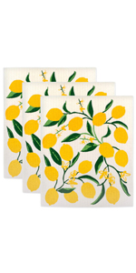 DII Everyday Kitchen Collection Assorted Dishcloth Set, 12x12, Antique Green, 5 Count