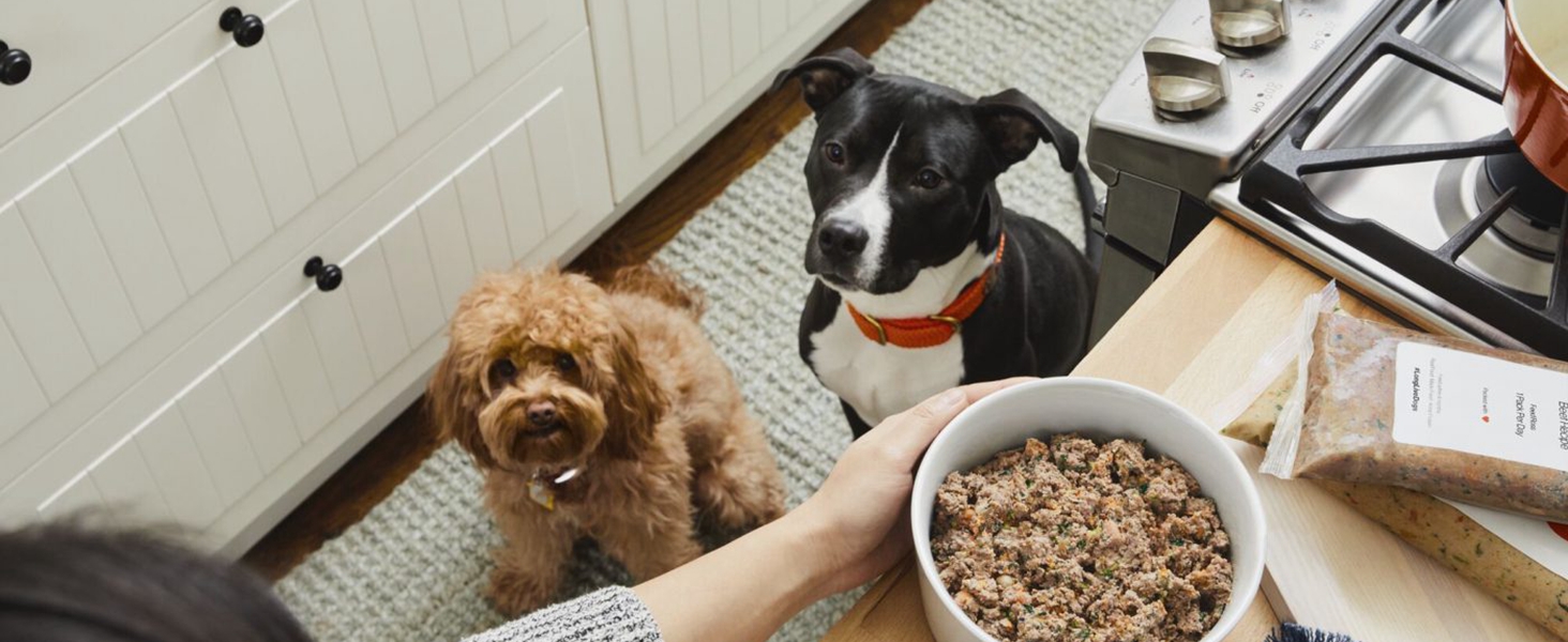 NUTRI FIT Digital Food Scale Small Kitchen Scales Weight in Grams and OZ for Cooking Baking Weight Loss, Stainless Steel Tare & Backlit LCD Display, Black